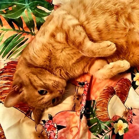 Meet your Posher, Jennifer - Picture 2 of 2